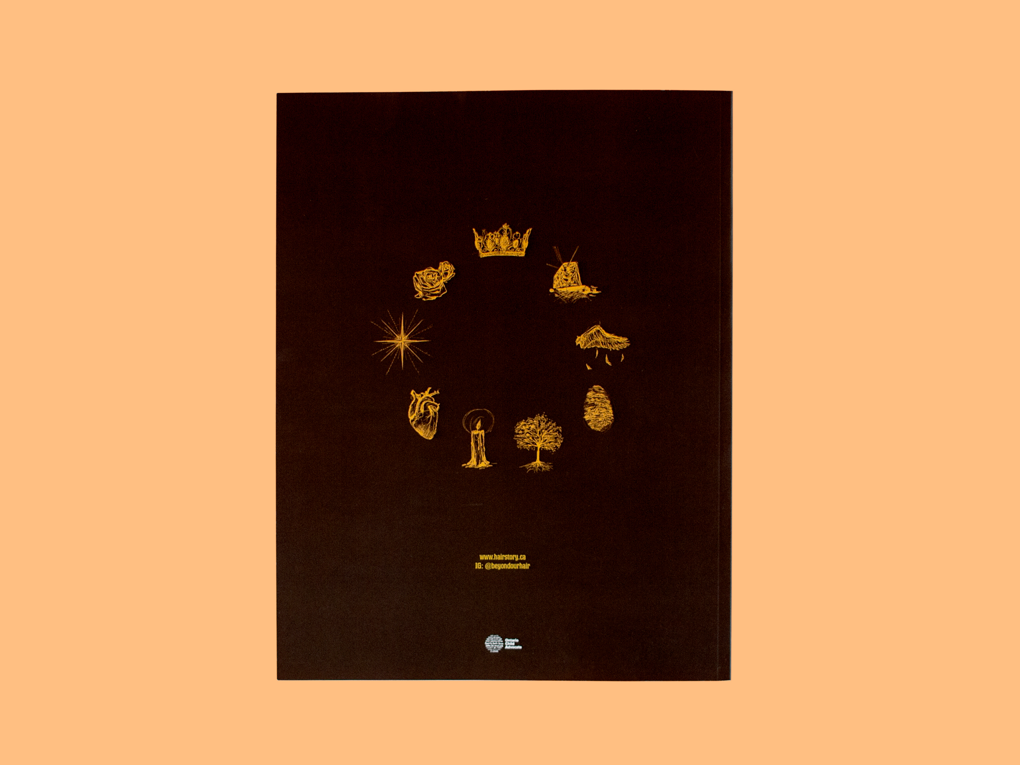 Back cover of report, 9 icons in a circle. In order clockwise; crown, diamond, wing, finger print, tree, candle, heart, star, and rose
