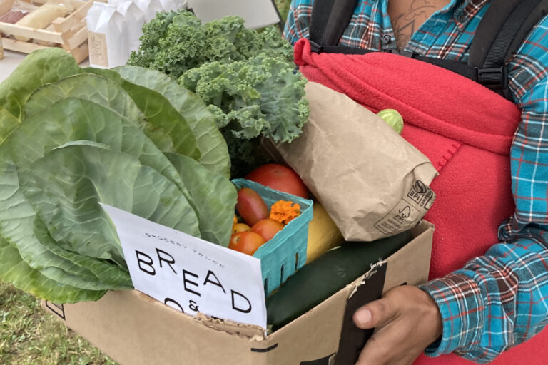 A box of fresh collards, kale, tomatoes, squash, and flowers with a Bread & Roses handbill sticking out of the side